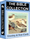 Buy The Bible Collection