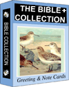 Bible Collection Plus Download
