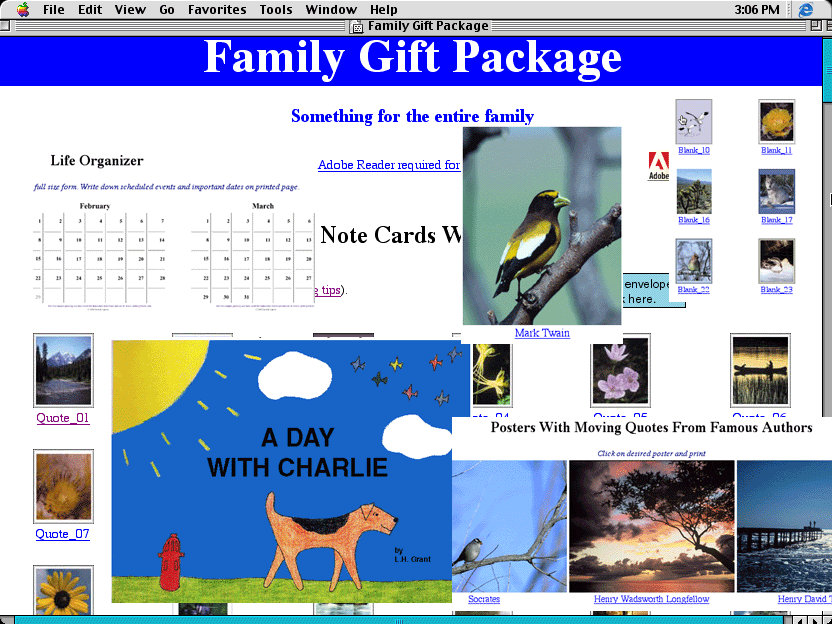 Screenshot of Family Gift Package