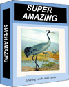Super Amazing