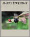 aabirthday_funny_2