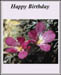 aabirthday_funny_4