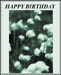 aabirthday_general_1