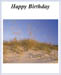 aabirthday_general_3