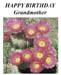 aabirthday_grandmother