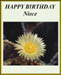 aabirthday_niece_1