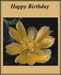 aabirthday_sister_in_law_1