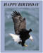 aabirthday_stepfather_1