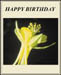 aabirthday_stepmother_1