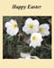 bbeaster_4