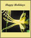 bbhappy_holidays_2