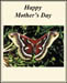 bbmother's_day_1