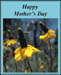 bbmother's_day_2