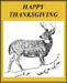 bbthanksgiving_5