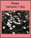 bbvalentine's_1