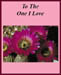 bbvalentine's_3