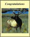 ccongratulations_accept_1