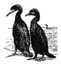 cdeclining_invitation_1