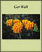cget_well_illness_1