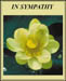 csympathy_misfortune_1