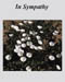 csympathy_misfortune_2