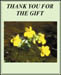 cthank_you_gift_2