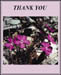 cthank_you_thoughtfulness_2